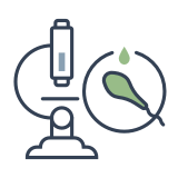 Badanie ogólne nasienia