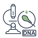 Badanie fragmentacji DNA