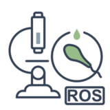 Badanie stresu oksydacyjnego nasienia