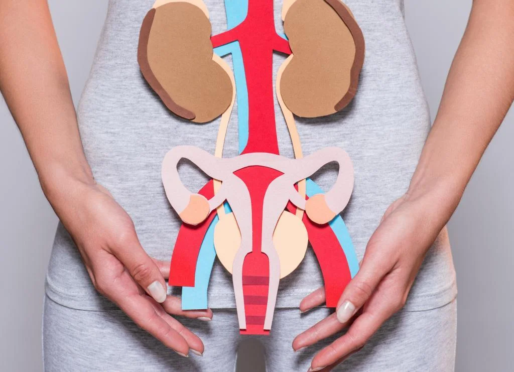 Sono-HSG – 8 pytań i 8 ważnych odpowiedzi