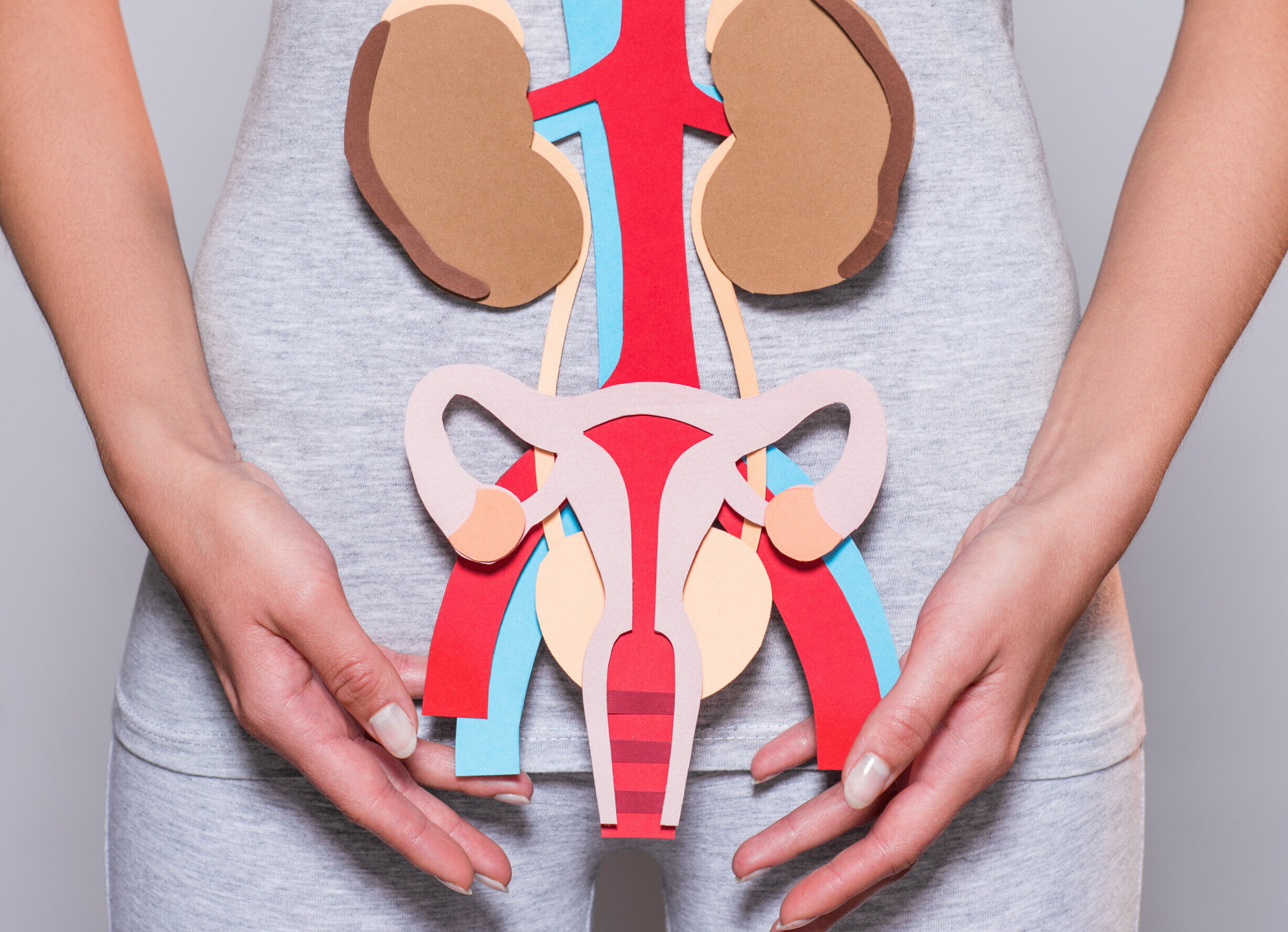 Sono-HSG – 8 pytań i 8 ważnych odpowiedzi